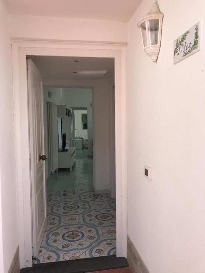 L' Ulivo Villa Nunzia 바라노디스키아 외부 사진