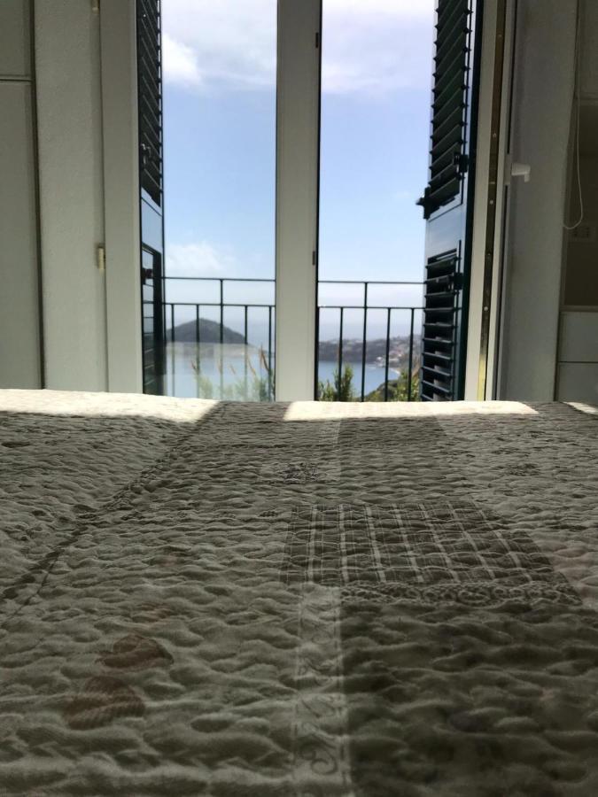 L' Ulivo Villa Nunzia 바라노디스키아 외부 사진